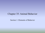 Chapter 35: Animal Behavior