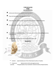 PTERYGOPALATINE FOSSA. Learning Objectives. • At the end of