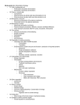 Study guide test 2 Essentials of biology 2015