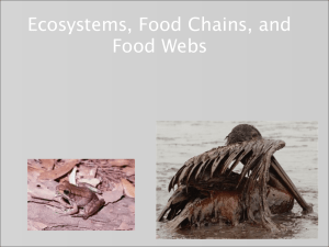 Ecosystems, Food Chains and Webs