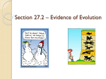 Section 27.2 * Evidence of Evolution