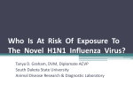 Current Human Issues with H1N1