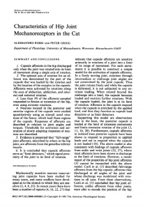 Characteristics of Hip Joint Mechanoreceptors in the Cat