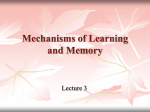 Mechanisms of Learning and Memory