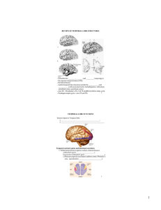 REVIEW OF TEMPORAL LOBE STRUCTURES