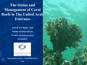 Coral Reef Management Status in UAE