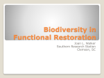 Biodiversity in Functional Restoration