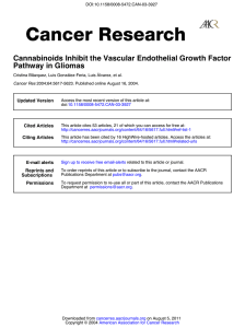 Pathway in Gliomas Cannabinoids Inhibit the Vascular Endothelial