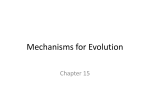 Mechanisms for Evolution