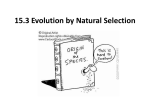 15.3 Evolution by Natural Selection