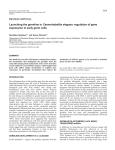 Early germline development in Caenorhabditis elegans