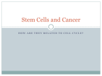 StemCells and Cancer