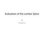 Evaluation of the Lumbar Spine