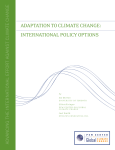 adaptation to climate change: international policy options