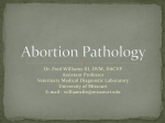 VPB 5766 Reproductive Pathology