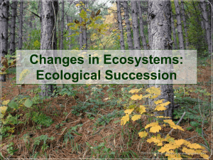 Ecological Succession