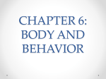 body and behavior