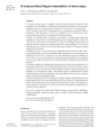 Ectomycorrhizal fungal communities at forest edges