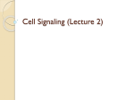 Each Cell Is Programmed to Respond to - Lectures For UG-5