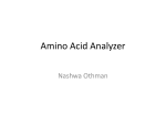 Amino Acid Analyzer