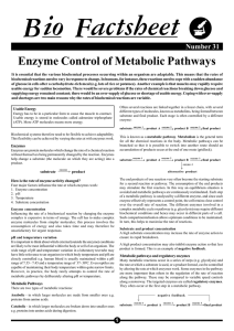 Enzyme Control of Metabolic Pathways