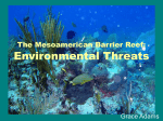 The Mesoamerican Barrier Reef