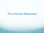 The Immune Response - hrsbstaff.ednet.ns.ca