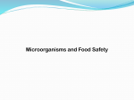 microorganisms-and-food-safety-paper-2-unit-1b