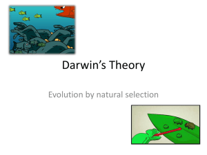 Darwin*s Theory