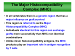 MHC Molecules