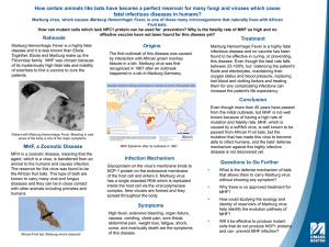 Marburg Hemorrhagic Fever