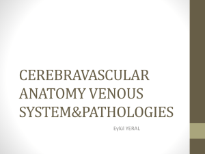 CEREBRAVASCULAR ANATOMY VENOUS