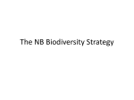 Biodiversity Conservation in NB, Presentation for "Seeing the Forest