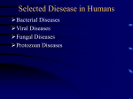 Selected Diesease in Humans