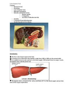 Liver Function Tests