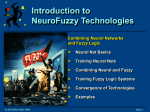 NeuroFuzzy Technologies Workshop