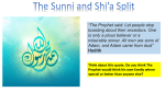 4-the-sunni-and-shia-divide