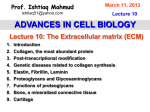 Lecture 10: The Extracellular matrix