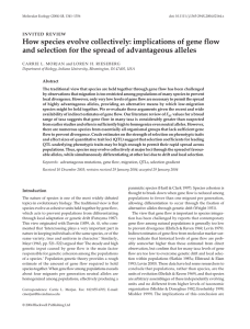 How species evolve collectively: implications of gene flow and