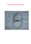 Maxillary anatomical land-marks