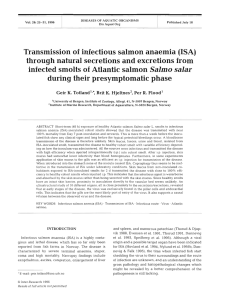 Transmission of infectious salmon anaemia (ISA) through natural