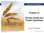 Chapter 21 Nucleic Acids and Protein Synthesis