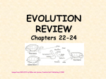 Evolution review