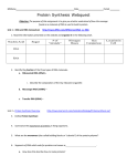 Protein Synthesis Intro Webquest