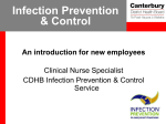 Classroom presentation - Infection Control: home
