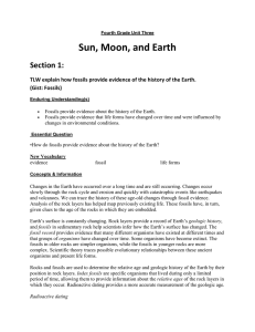 TLW explain how fossils provide evidence of the history of the Earth.