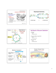 Overview of Citric Acid Cycle Electron Transprort