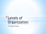 Levels of Organization - Science with Ms. Friess