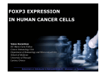 Foxp3 expression in human cancer cells Foxp3