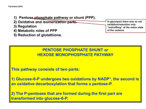 Pentose Phosphate Shunt